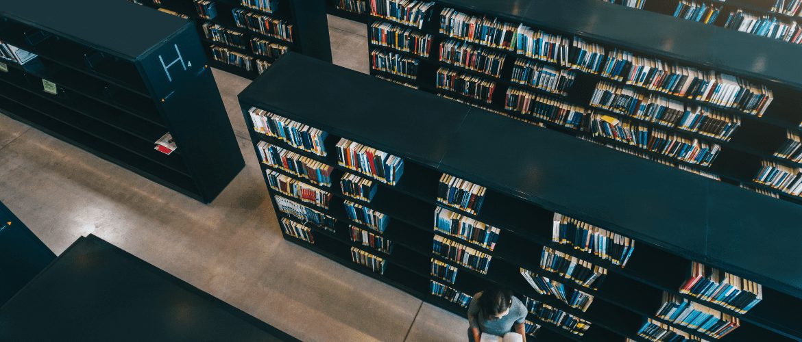 How Should Library Shelve Systems Be?